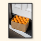 'Sunshine On The Stoop' by Nikki To