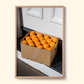 'Sunshine On The Stoop' by Nikki To